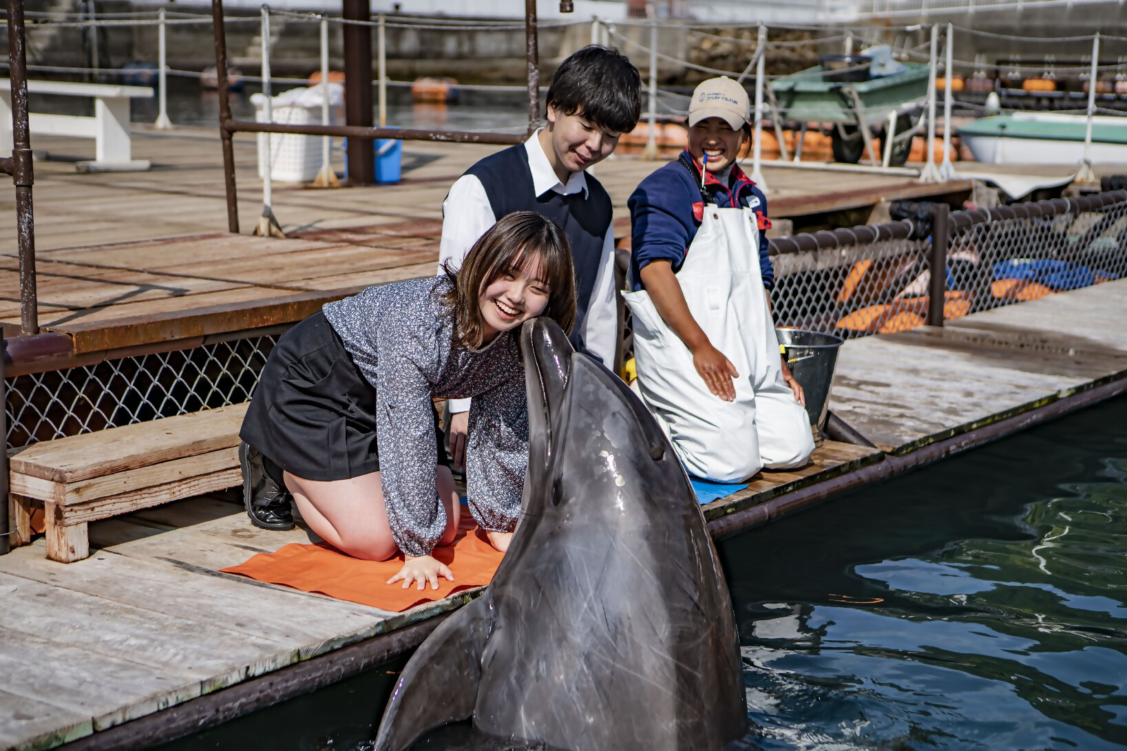 大分市・津久見市満喫コース