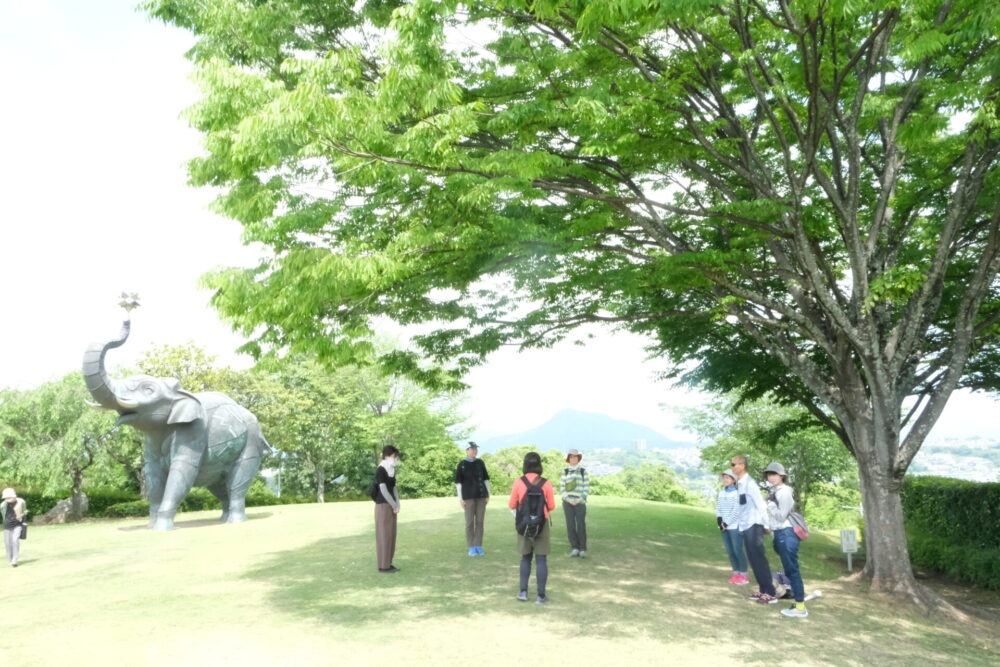 上野の森セラピーロード